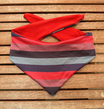 Load image into Gallery viewer, Red/ Striped Reversible Doggy Bandana no
