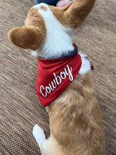 Load image into Gallery viewer, Red/ Striped Reversible Doggy Bandana no
