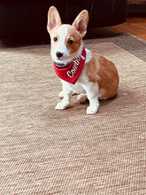 Load image into Gallery viewer, Red/ Striped Reversible Doggy Bandana no
